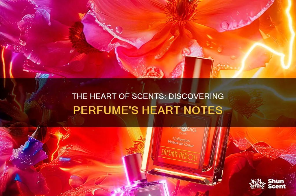 what is heart note in perfume