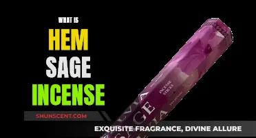 Hem Sage Incense: Ancient Aromatic Rituals Explored