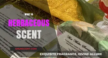 Exploring the Fresh, Green, and Earthy World of Herbaceous Scents
