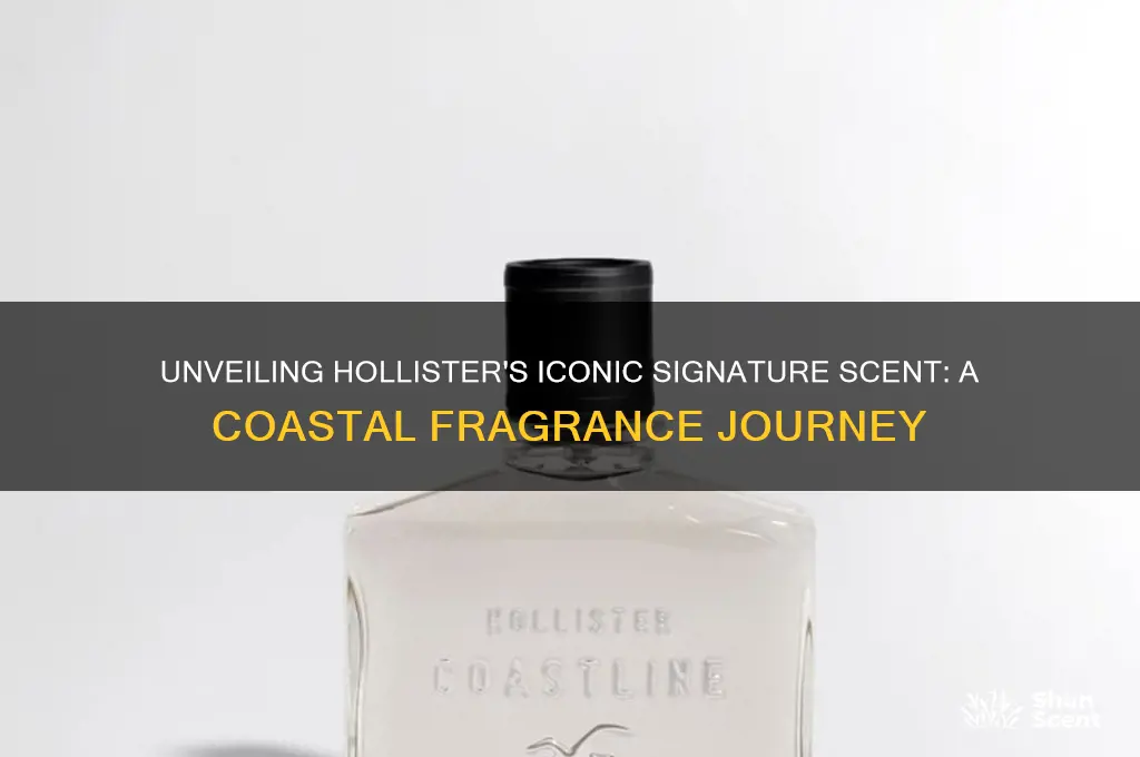 what is hollister