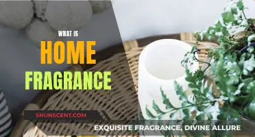 Explore the World of Home Fragrance: Scents for Your Space