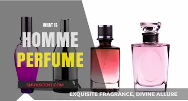 Explore the World of Homme Perfumes