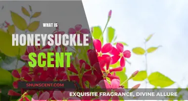 Exploring the Sweet, Floral Aroma of Honeysuckle: A Scent Guide