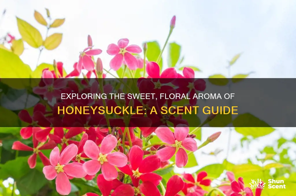 what is honeysuckle scent