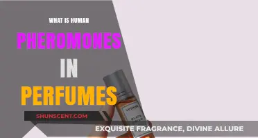Human Pheromones in Perfumes: The Science of Attraction