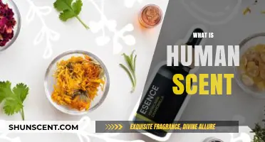 Unveiling the Mystery: Understanding the Unique Essence of Human Scent