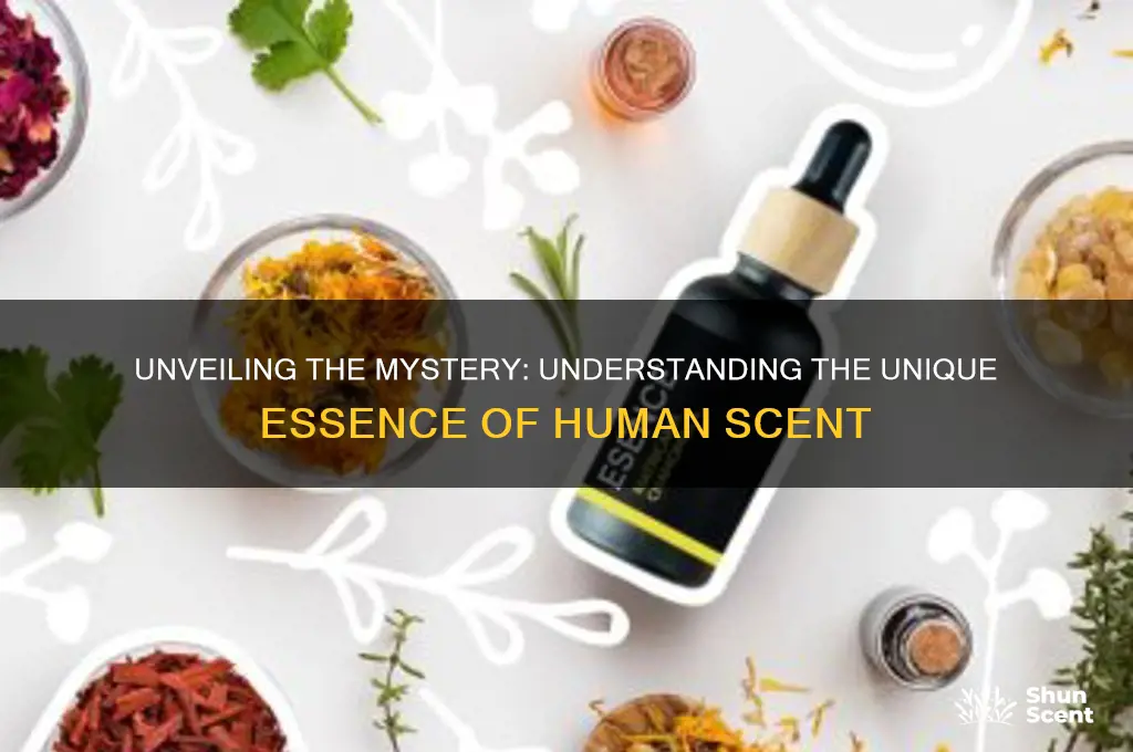 what is human scent