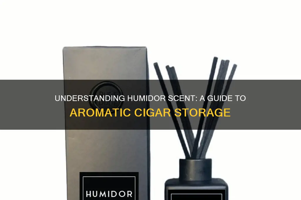 what is humidor scent