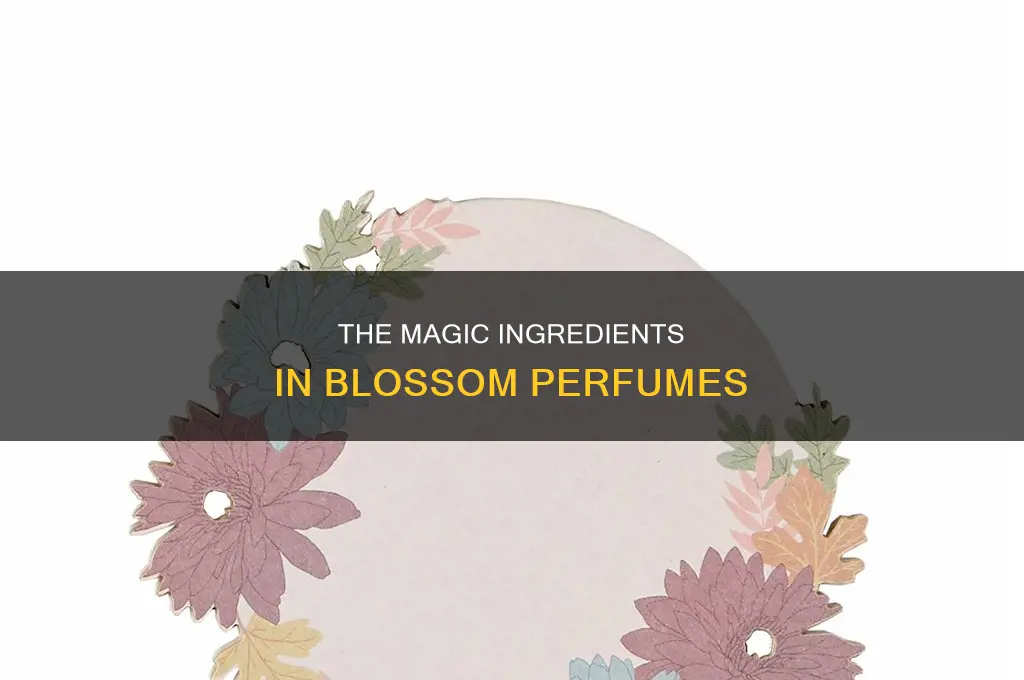 what is in blossom perfume