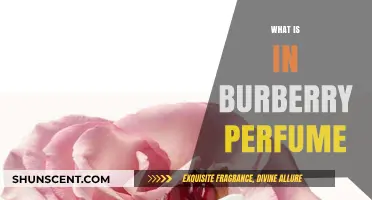 Burberry Scents: Notes and Ingredients