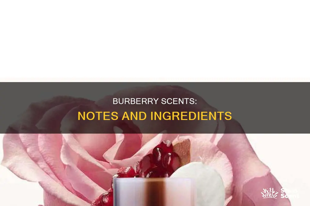 what is in burberry perfume
