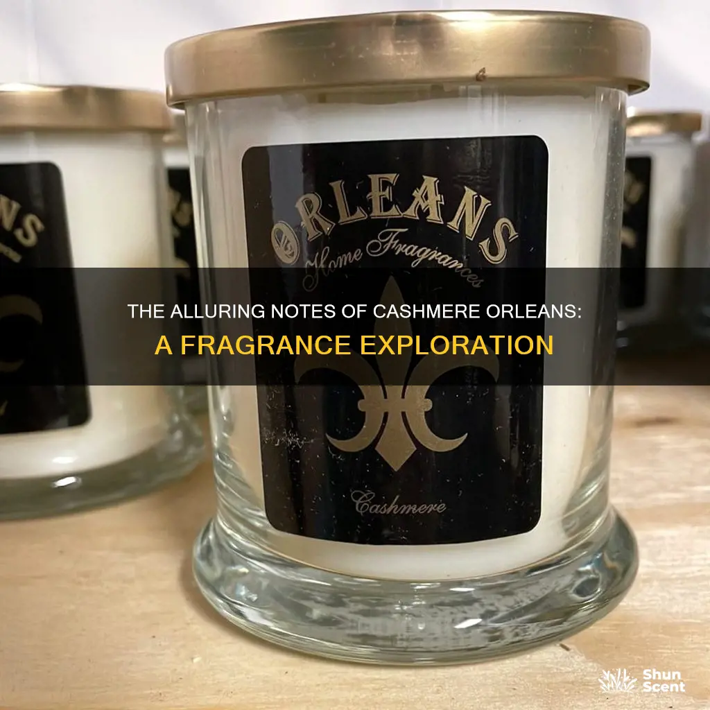 what is in cashmere orleans fragrance