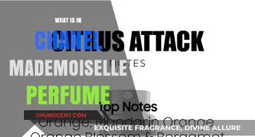 The Secret Notes of Chanel Mademoiselle
