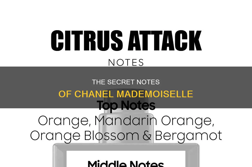 what is in chanel mademoiselle perfume