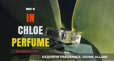 Chloé Perfumes: A Floral, Feminine Fragrance Family