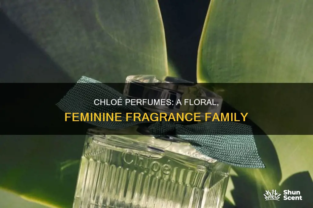 what is in chloe perfume