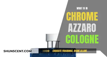 The Alluring Notes of Chrome Azzaro Cologne