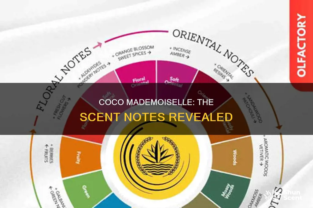 what is in coco mademoiselle perfume