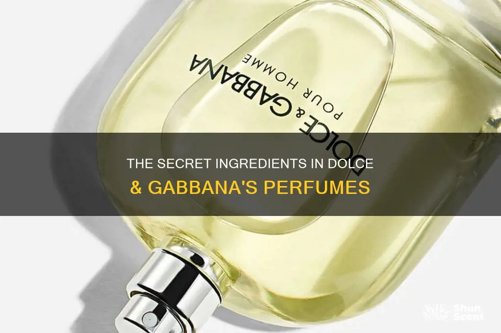 what is in dolce and gabbans perfume