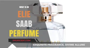 The Alluring Notes of Elie Saab Perfumes