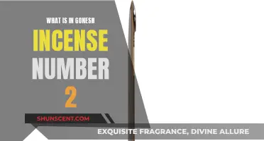 Incense Sticks: Unveiling the Mystery of Gonesh Number 2