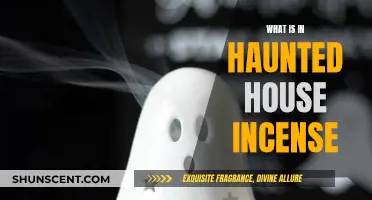 Haunted House Incense: What's in the Smoke?