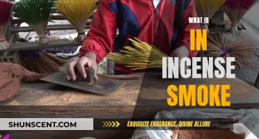 Incense Smoke: What's in it?