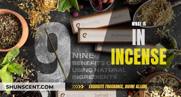 The Science Behind Incense: Ingredients and Aromatics