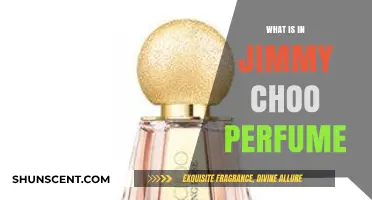 The Alluring Notes of Jimmy Choo Perfumes