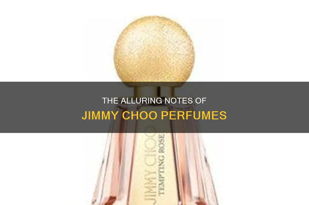 what is in jimmy choo perfume