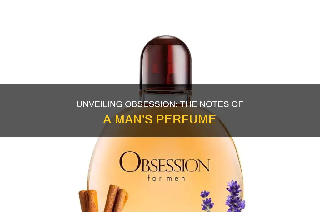 what is in obsession for men perfume
