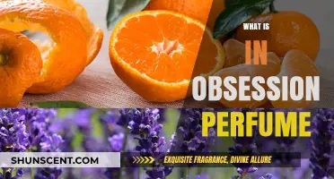 The Secret Notes of Obsession Perfume