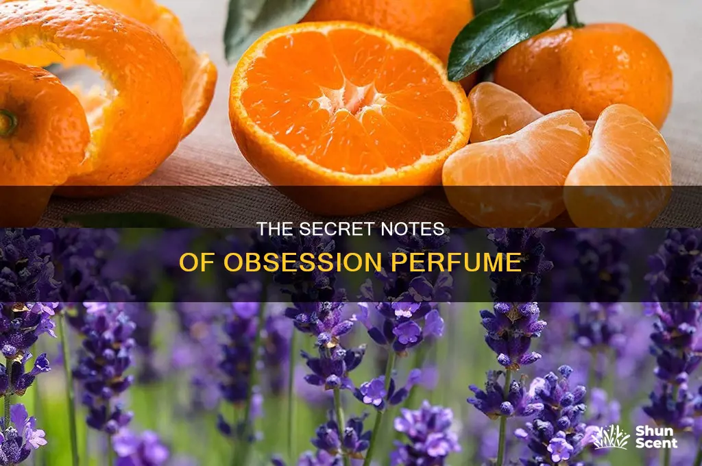 what is in obsession perfume