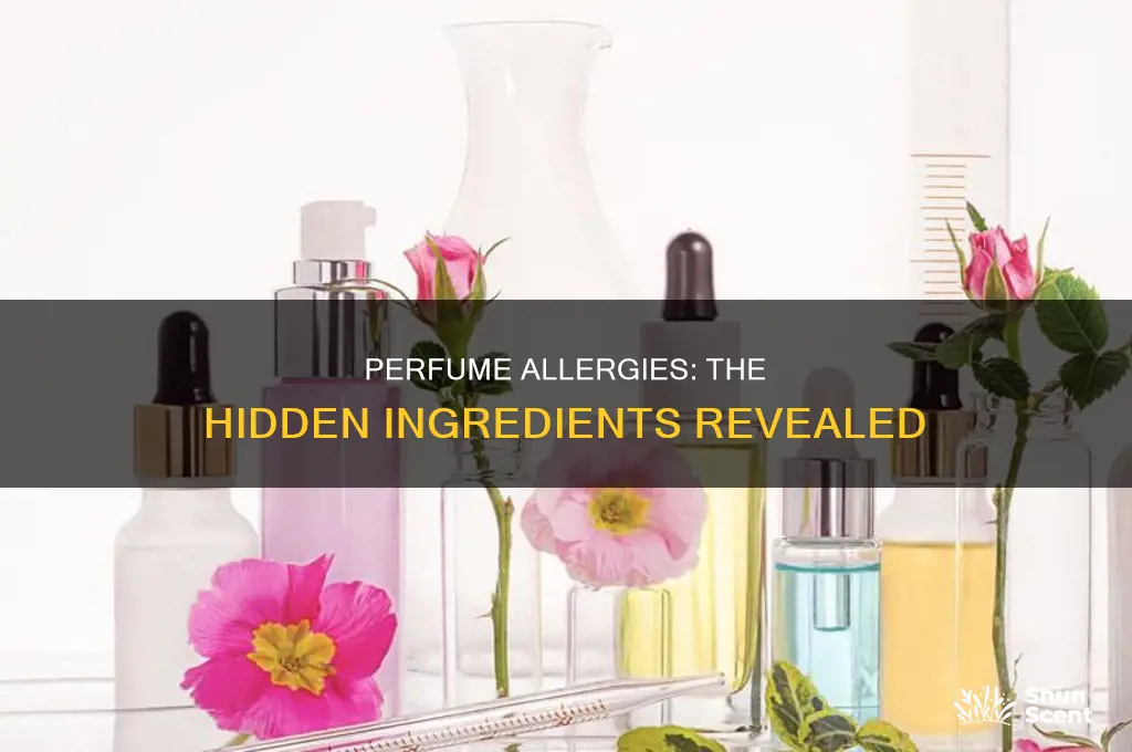 what is in perfume that causes allergies