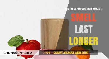 The Science Behind Long-Lasting Fragrances