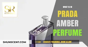 Prada Amber: Notes of a Luxurious Scent