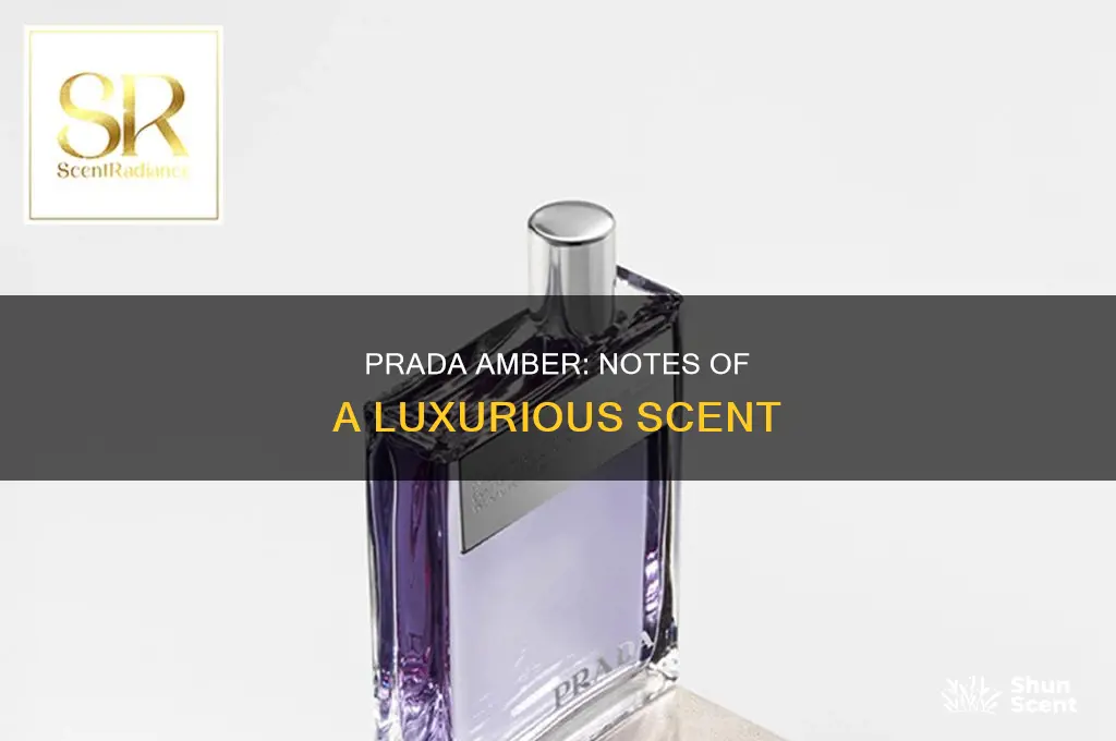 what is in prada amber perfume