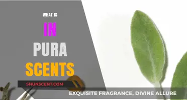 Discover the Natural Ingredients Inside Pura Scents: A Fresh Look