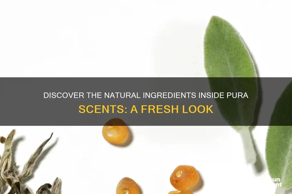 what is in pura scents
