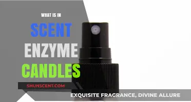 Unveiling the Magic: Ingredients in Scent Enzyme Candles Explained