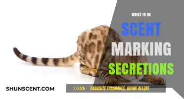 Unveiling the Chemical Composition of Scent Marking Secretions in Animals