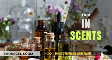Unveiling the Secrets: What Ingredients Create Captivating Scents