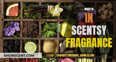 The Science Behind Scentsy Fragrance: What's in the Bottle?