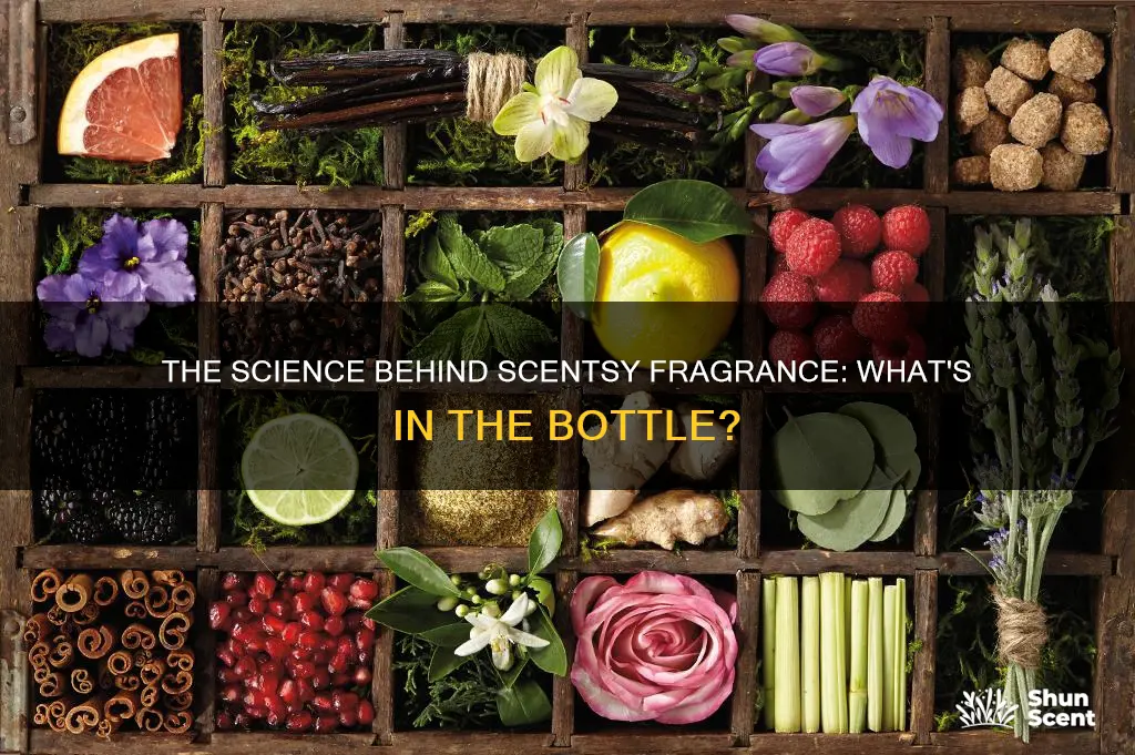 what is in scentsy fragrance