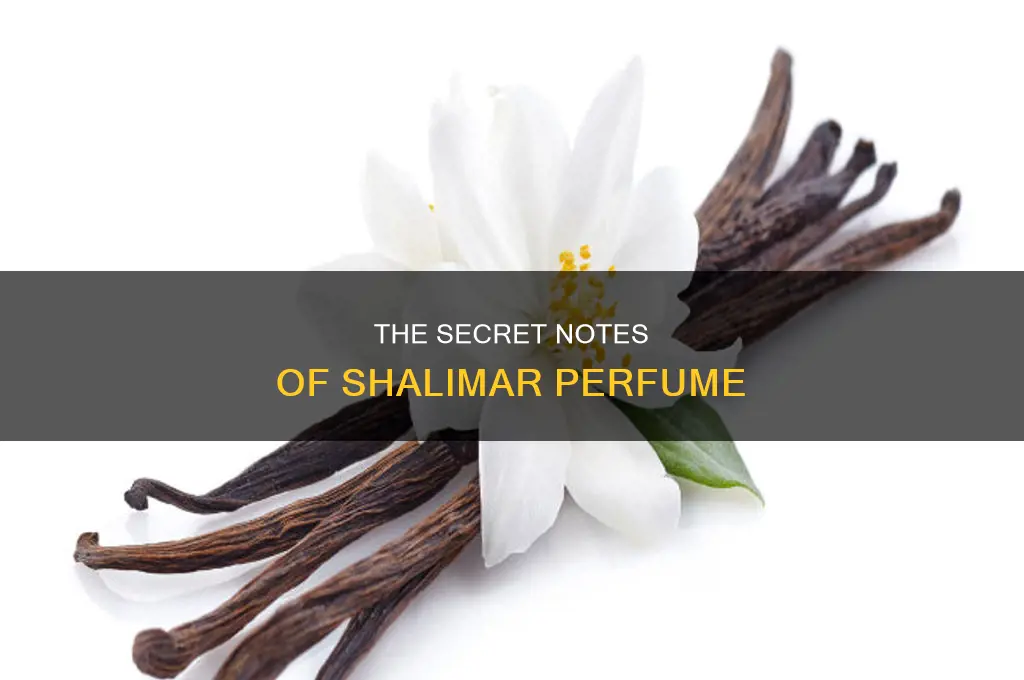 what is in shalimar perfume