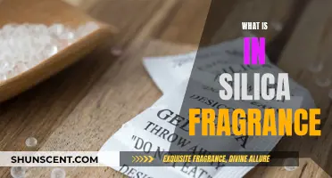 Silica Fragrance: What's the Deal with This Scented Sand?