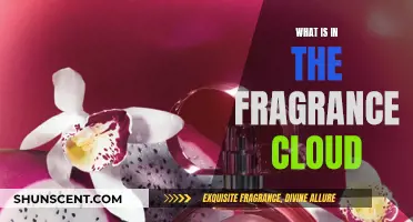 Unveiling the Mystery of Fragrance Cloud's Ingredients