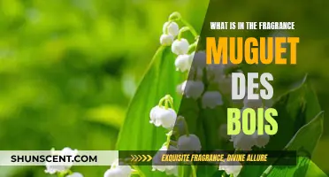 The Enchanting Notes of Muguet des Bois