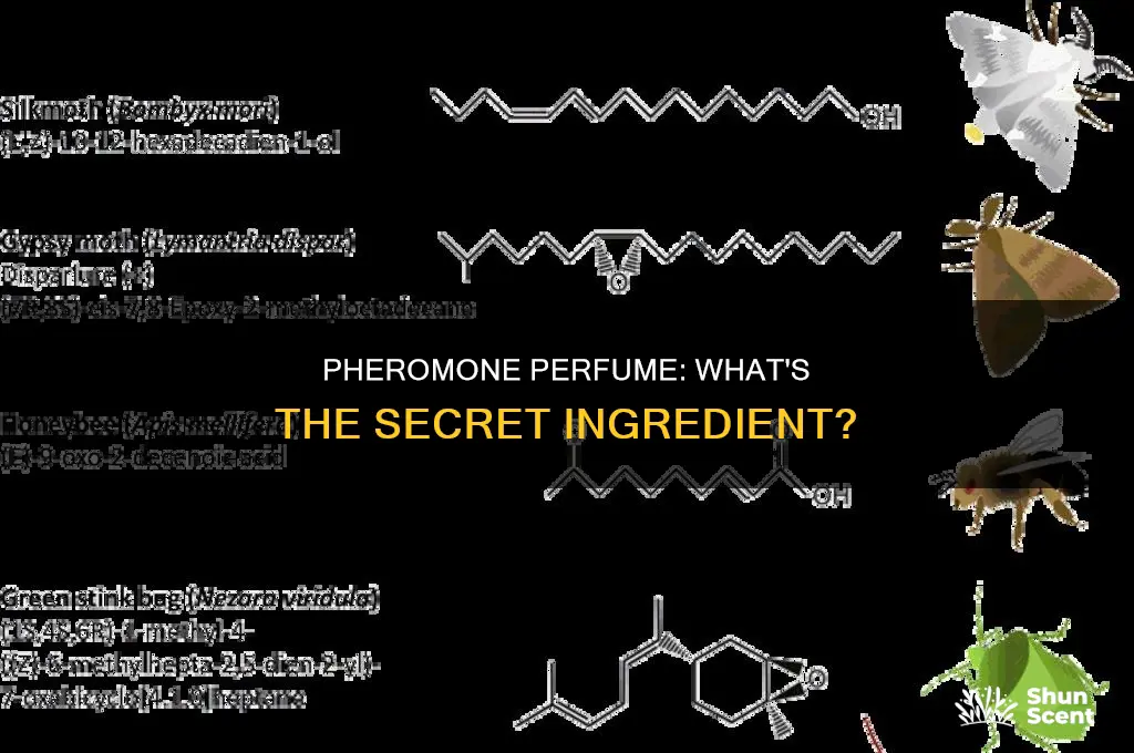 what is in the pheromone perfume