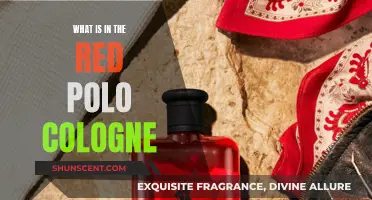 The Red Polo Cologne: What's Inside the Bottle?